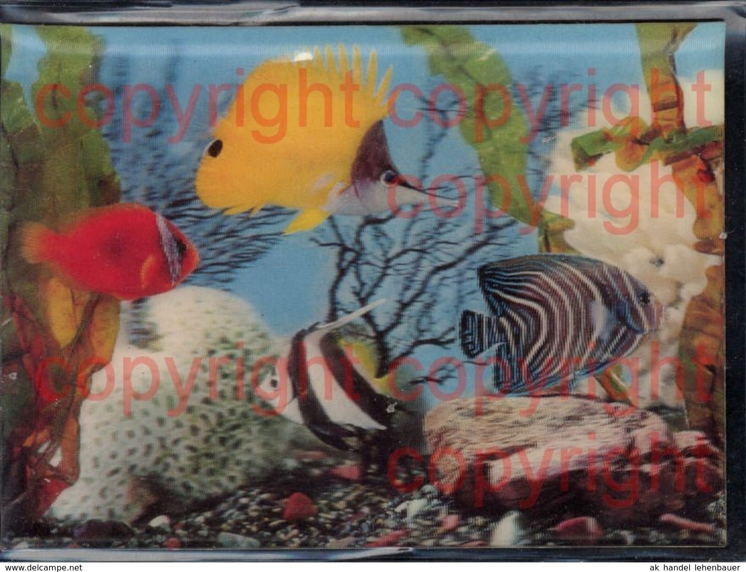 465866,3D 3 D 3-D Karten Fische Aquarium - Sonstige & Ohne Zuordnung