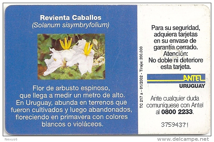 Uruguay - Antel - Revienta Caballos Flower - TC 217a - 01.2002, 200.000ex, Used - Uruguay