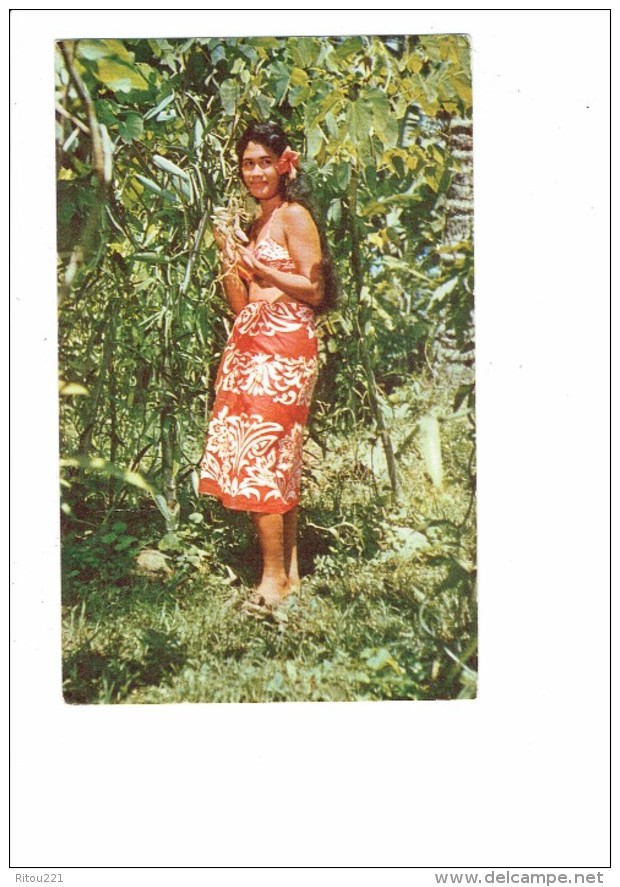 TAHITI - 1967 Pollinating Flowers Of Vanilla Plant - Mariant Las Fleurs De Vanille - Photographe Sounam - Femme Vanille - Tahiti