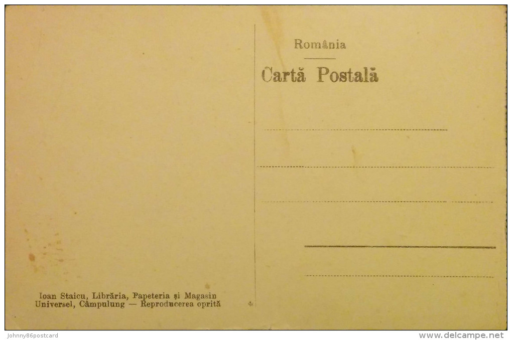 CAMPULUNG MUSCEL,ARGES,SCOALA NORMALA,POSTCARD,ROMANIA - Rumania