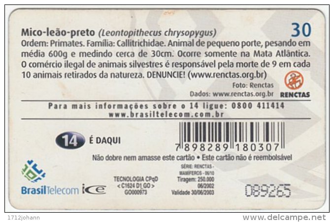 BRASIL D-550 Magnetic BrasilTelecom - Animal, Monkey - Used - Brésil