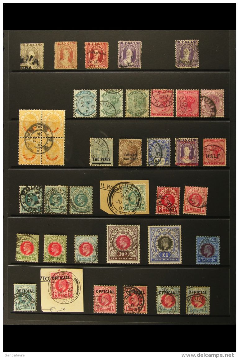 NATAL 1861-1909 USED SELECTION On A Stock Page. We See A Chalon Range To 6d Inc A Reversed Watermark, Later QV... - Zonder Classificatie