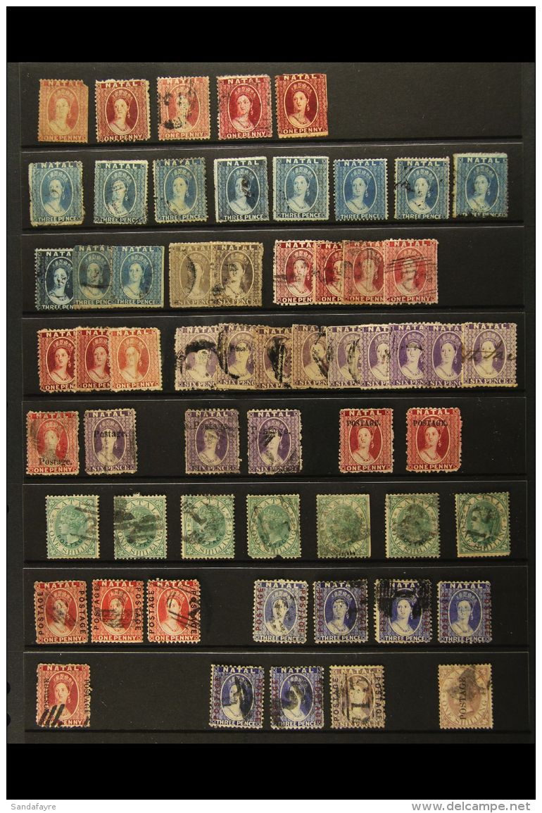 NATAL 1859-73 OLD TIME ACCUMULATION On A Stockpage. A Mixed Condition Hoard Of Used, Mint &amp; Unused "earlies",... - Zonder Classificatie