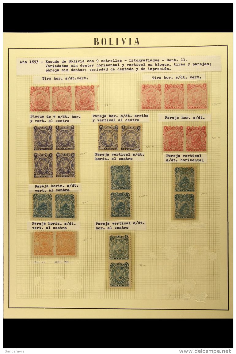 1893 PERFORATION VARIETIES &amp; ERRORS. An Interesting Mint (some Without Gum) Collection Written Up In Hingeless... - Bolivië