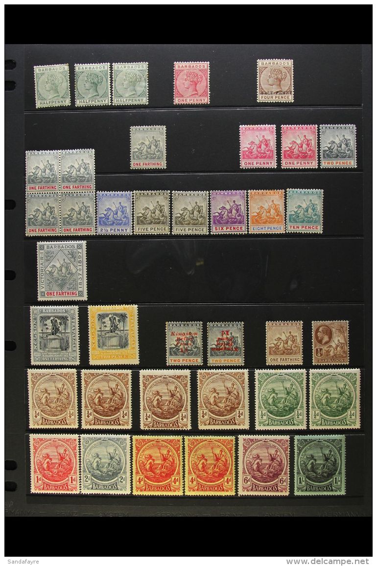 1882-1937 MINT SELECTION On Stock Pages That Includes 1892-1903 Set To 10d, 1916-19 Badge Range To 1s &amp; Later... - Barbados (...-1966)