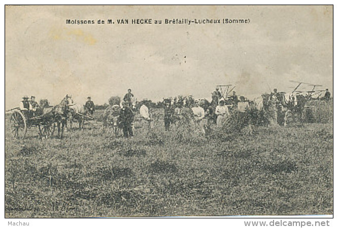 Moissons De M. Van Hecke Au Bréfailly-Lucheux - 1908 - Lucheux