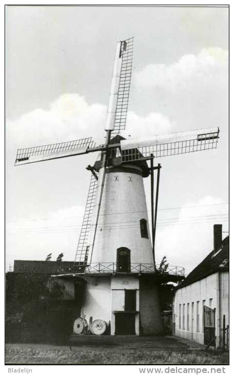 RUISELEDE (W.Vl.) - Molen/moulin - De Stenen Knokmolen In 1974, Toen Deze Nog Dagelijks In Bedrijf Was! - Ruiselede