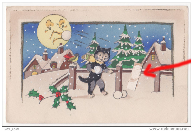 Cpa Fantaisie, Chat Noir Et Lune, Neige ( Le Chat Se Déplie En 3D / Manque Un Autre Chat à Droite Du 1er )  ( FA ) - Dressed Animals