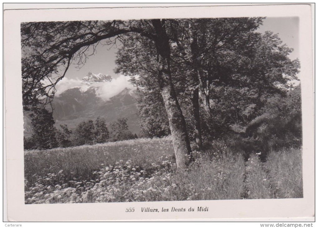 SUISSE,HELVETIA,SWISS,schweiz ,svizzera,VAUD,VILLARS SUR OLLON,CARTE PHOTO KUNZ - Ollon