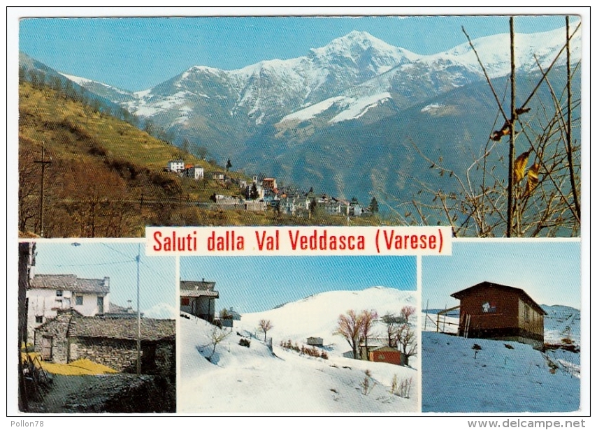 SALUTI DALLA VAL VEDDASCA - LUINO - VARESE - Luino