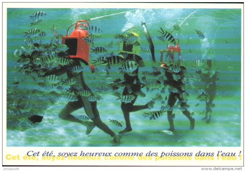Les Voeux De L´été - Cet été, Soyez Heureux Comme Des Poissons Dans L'eau ! - Paul Ricard 1997 - W-6 - Advertising