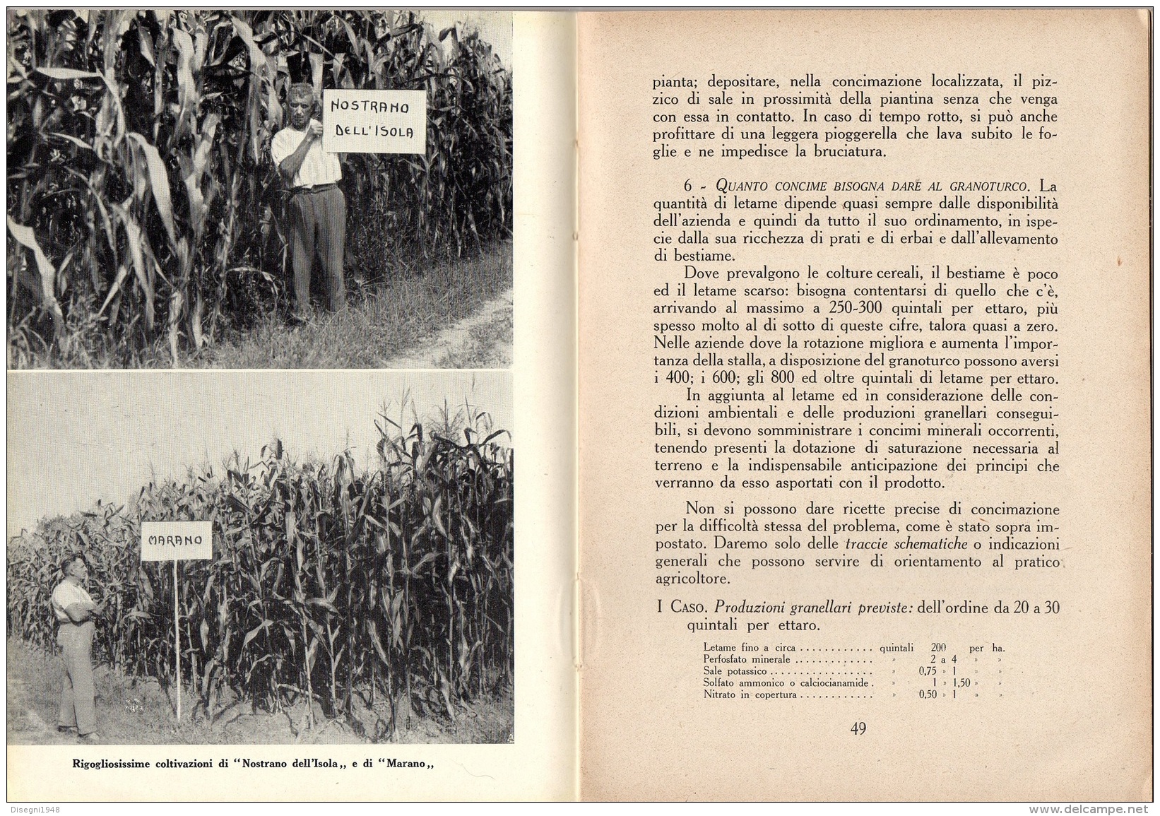 06101 " T. V. ZAPPAROLI - IL GRANOTURCO - RAMO EDIT. DEGLI AGRICOLT. - ROMA - 1939 XVII" ORIGINALE - Altri & Non Classificati