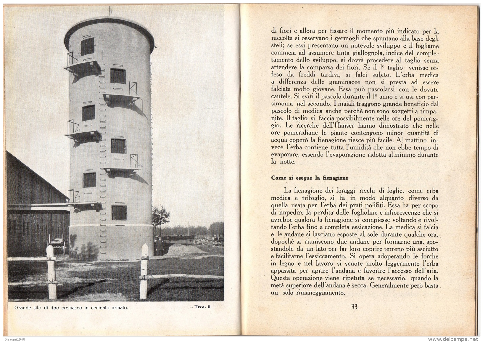 06103 " E. BASSI - L´ERBA MEDICA - RAMO EDIT. DEGLI AGRICOLT. - ROMA - 1938 XVI" ORIGINALE - Other & Unclassified