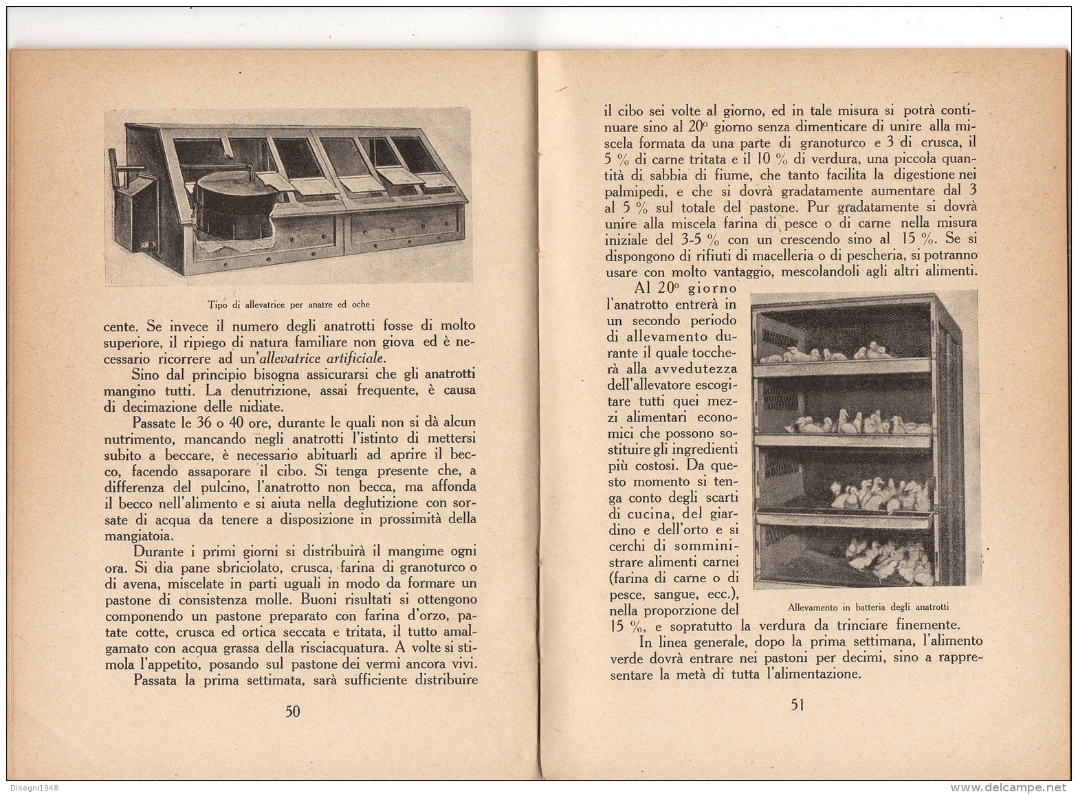 06105 " F. FRAU SANNA - ALLEVAMENTO DELL´ANATRA - RAMO EDIT. DEGLI AGRICOLT. - ROMA - 1941 XIX" ORIGINALE - Other & Unclassified