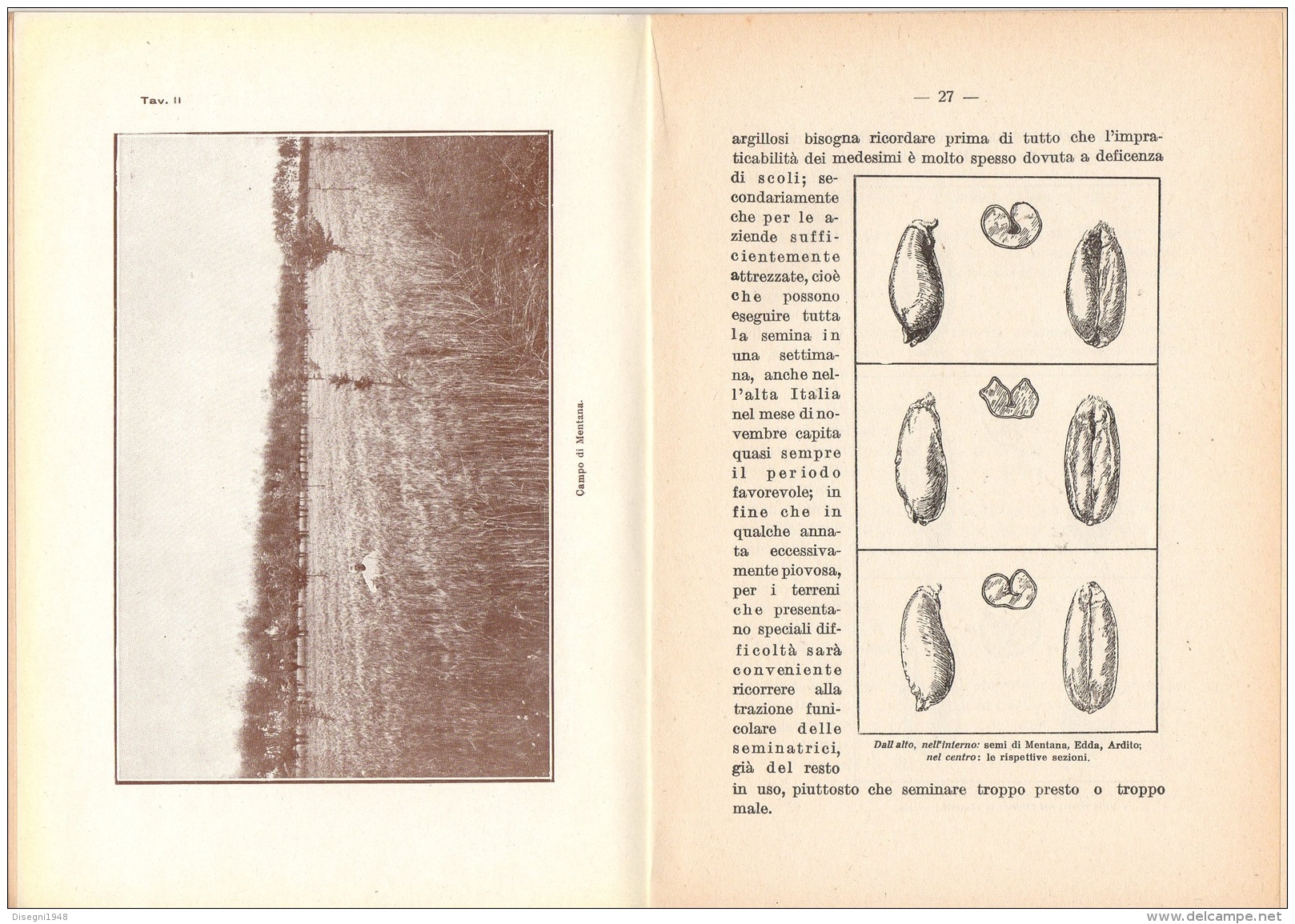 06106 "PROF. DANTE GIBERTINI - LA NUOVA TECNICA FRUMENTARIA - FED. IT. DEI CONS. AGRARI PIACENZA- 1930 VIII" ORIGINALE