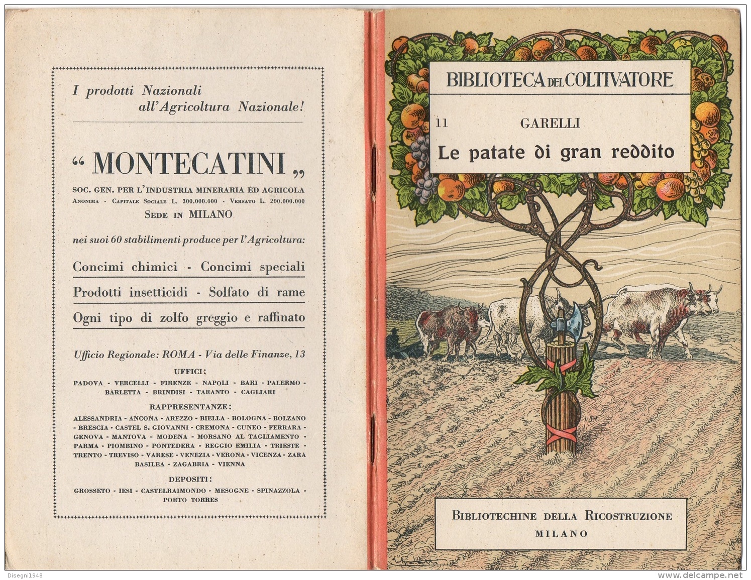 06107 "A. GARELLI - LE PATATE DI GRAN REDDITO - CASA EDITRICE FRATELLI OTTAVI CASALE MONFERRATO - 1920" ORIGINALE - Autres & Non Classés