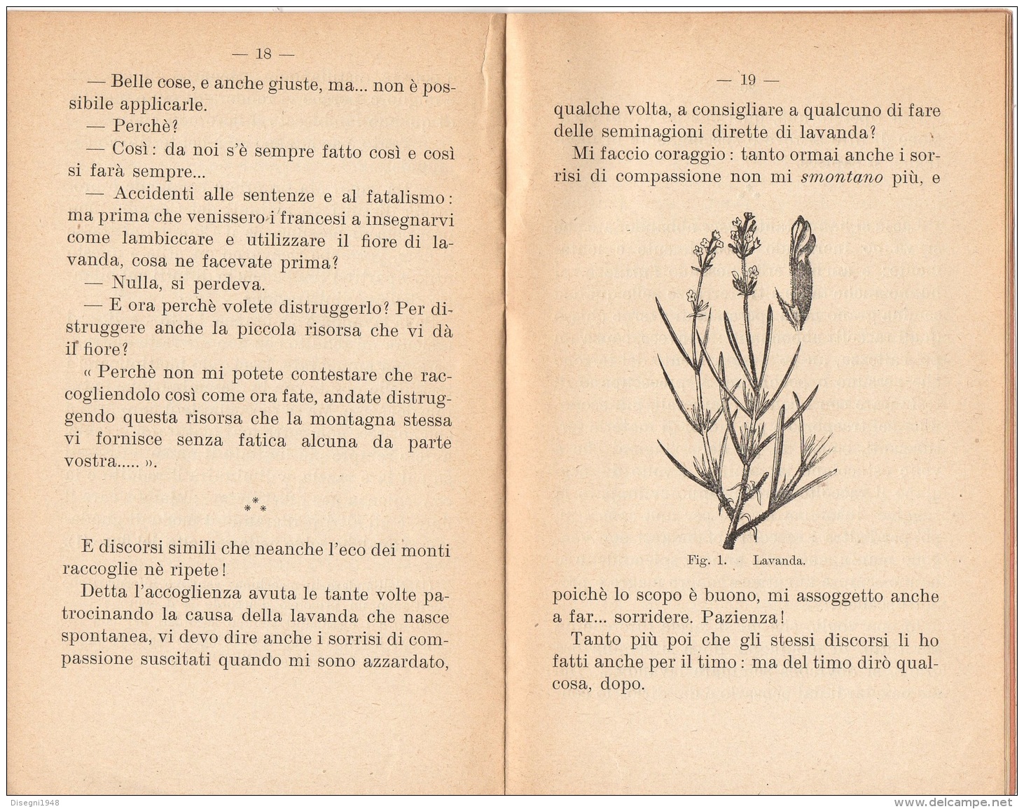 06108 "G. VAGLIASINDI - LAVANDA E TIMO -  CASA EDITRICE GFRATELLI OTTAVI - CASALE MONFERRATO - 1912" ORIGINALE - Other & Unclassified