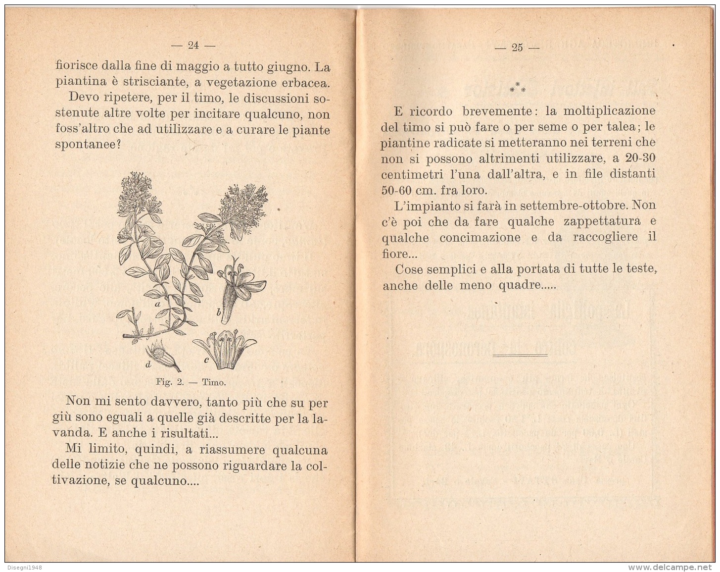 06108 "G. VAGLIASINDI - LAVANDA E TIMO -  CASA EDITRICE GFRATELLI OTTAVI - CASALE MONFERRATO - 1912" ORIGINALE - Autres & Non Classés