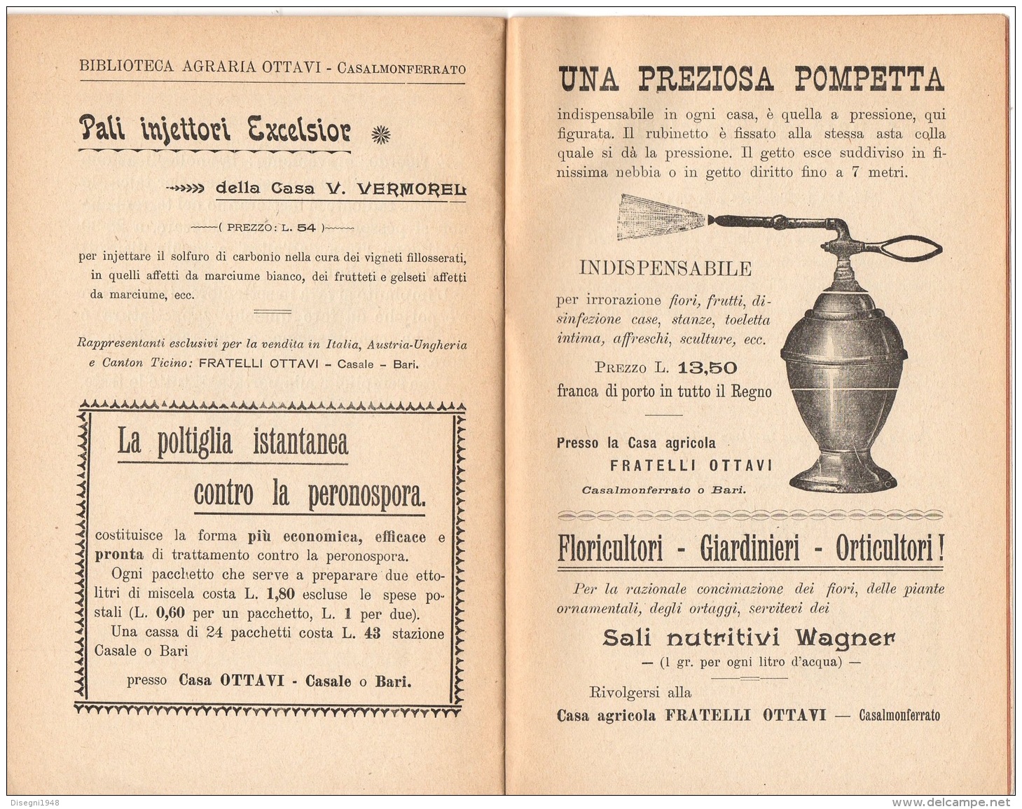 06108 "G. VAGLIASINDI - LAVANDA E TIMO -  CASA EDITRICE GFRATELLI OTTAVI - CASALE MONFERRATO - 1912" ORIGINALE