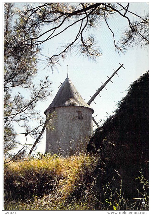 MOULINS A VENT - FRANCE - Windmill Windmühle Windmollen - Moulin De JARD SUR MER ( Vendée ) CPSM CPM GF - - Mulini A Vento