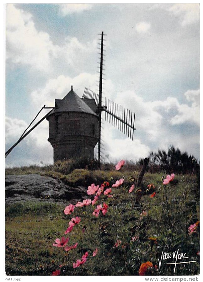 MOULINS A VENT - FRANCE - Windmill Windmühle Windmollen - Moulin Du Diable Sur La Lande ( Vendée ) - CPSM CPM GF - - Mulini A Vento