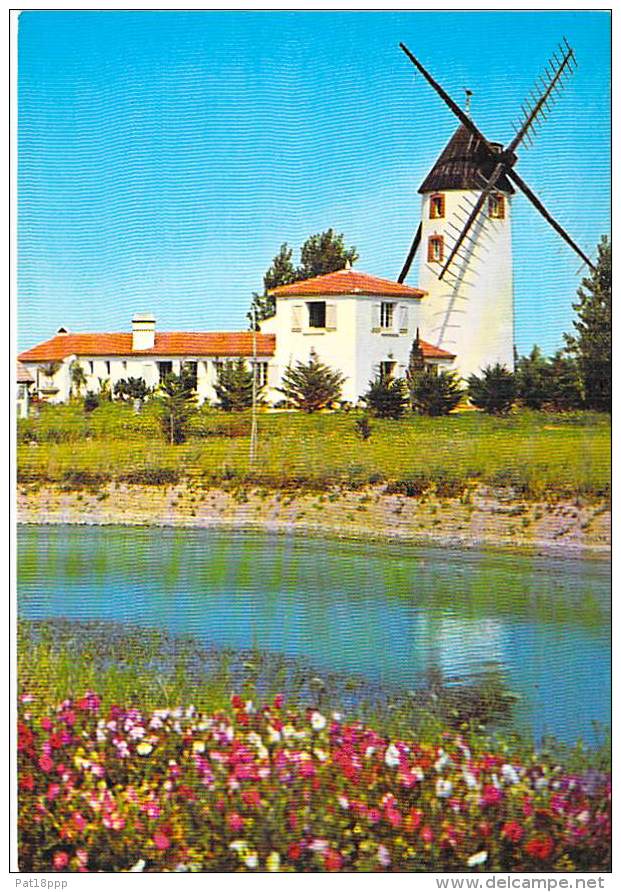 MOULIN A VENT - FRANCE - Windmill Windmühle Windmollen - Petit Lot (1/4) De 5 CPSM CPM GF ... Divers Moulins ... - Mulini A Vento