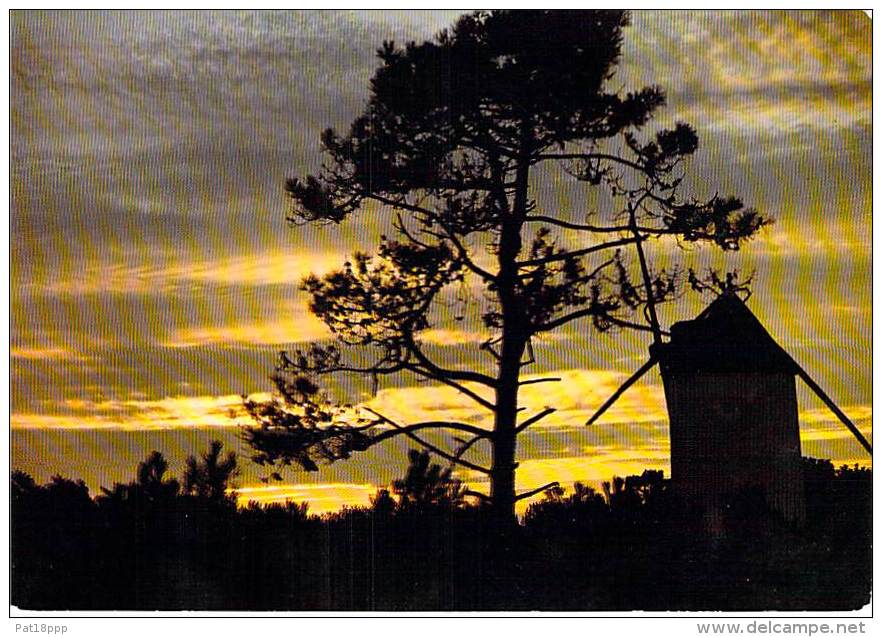 MOULIN A VENT - FRANCE - Windmill Windmühle Windmollen - Petit Lot (2/4) De 5 CPSM CPM GF ... Divers Moulins ... - Mulini A Vento