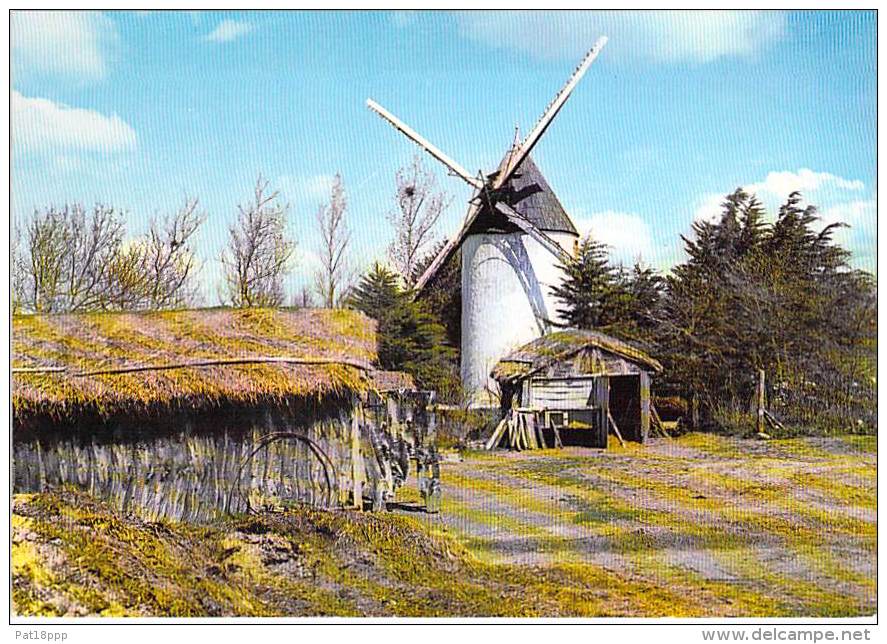 MOULIN A VENT - FRANCE - Windmill Windmühle Windmollen - Petit Lot (3/4) De 5 CPSM CPM GF ... Divers Moulins ... - Molinos De Viento