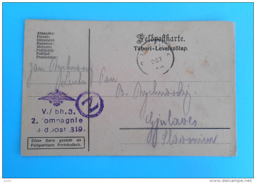 K.u.K. FELDPOST KARTE - Travelled 1915. To Gjulaves , Croatia *** V./bh.3. - 2. Kompagnie Feldpost 319. ** MILITARY POST - Briefe U. Dokumente