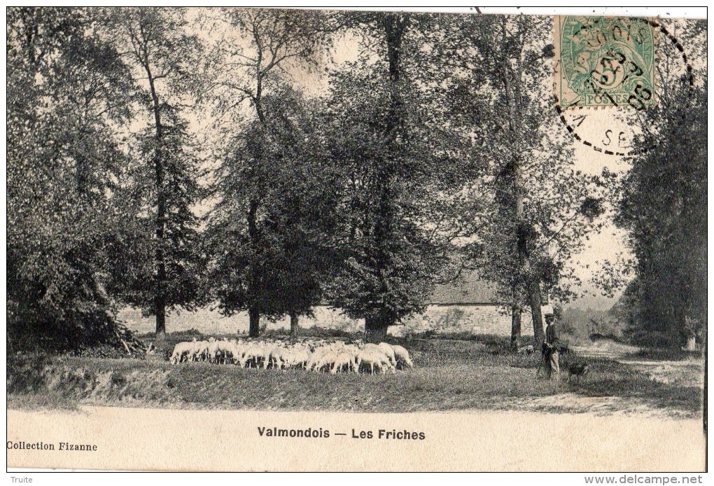 VALMONDOIS LES FRICHES BERGER AVEC SES MOUTONS - Valmondois