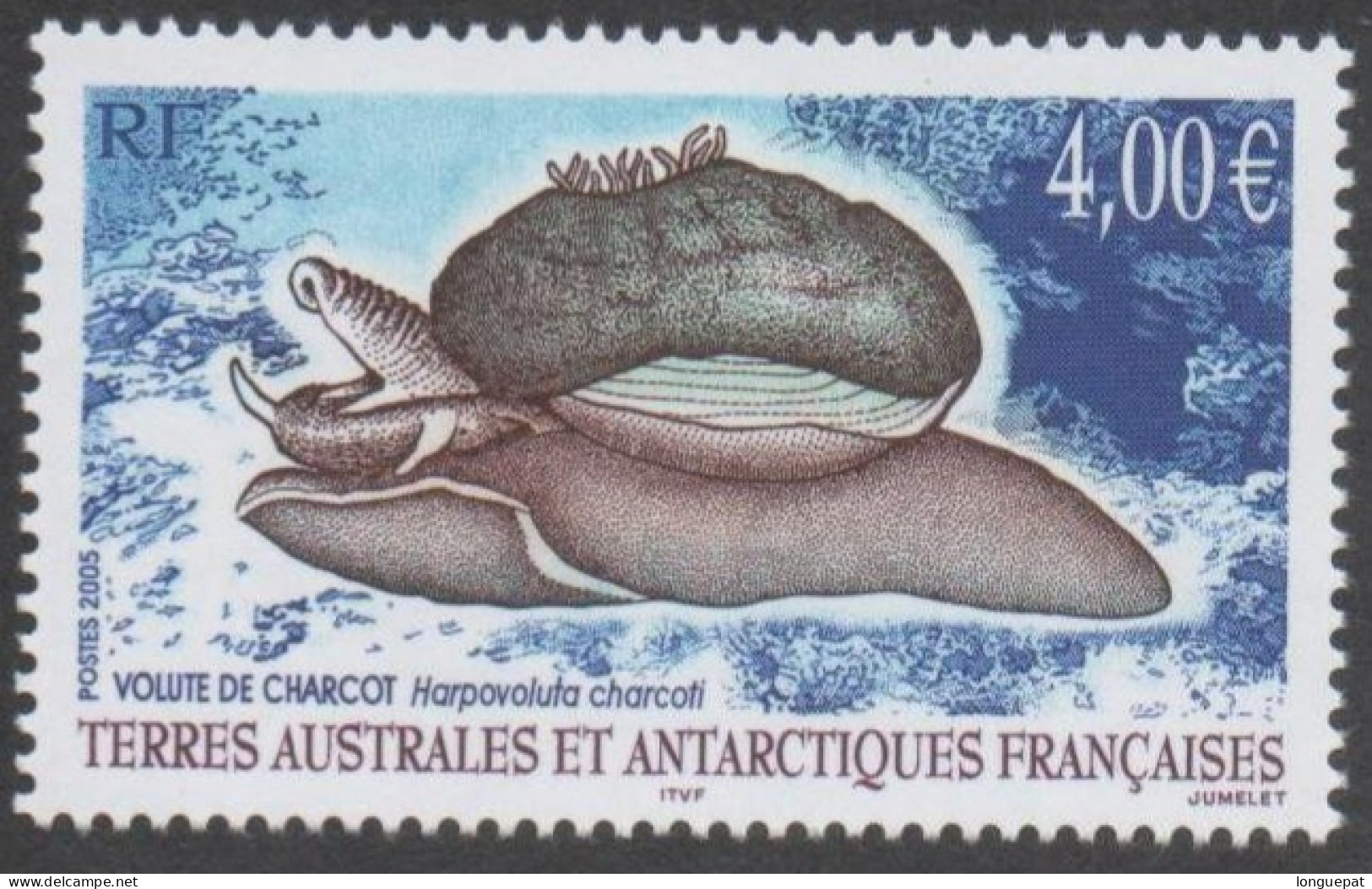 TAAF : Faune Antarctique : Volute De Charcot (Harpovoluta Charcoti) - Unused Stamps