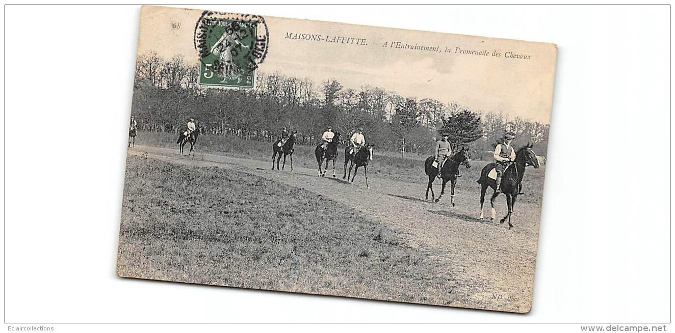 Sport.   Hippisme  Maisons Laffitte.   Les Courses.  A L'entrainement - Hippisme