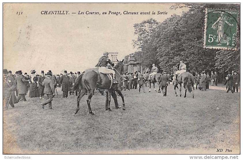 Sport.   Hippisme  Chantilly  60  Les Courses.   Au Pesage Avant La Sortie - Horse Show