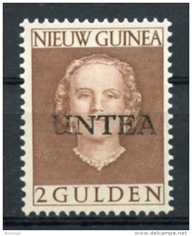 UNTEA, United Nations, Netherlands New Guinea, 1962, 2 G, Type I, MNH, Michel 18I - Nuova Guinea Olandese