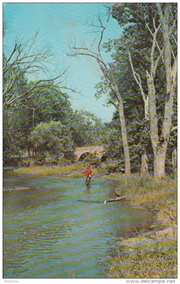 Beebe Québec - Stream Fishing - Pêche - Written - Stamp & Postmark 1965 - 2 Scans - Other & Unclassified