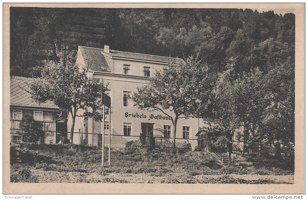 AK Sächsische Schweiz Postelwitz Friebel ´s Gasthaus Bei Schmilka Schöna Krippen Schandau Pirna Herrnskretschen Tetschen - Schmilka