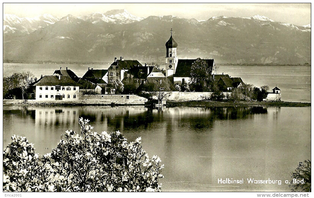 Wasserburg (Bodensee). Halbinsel Wasserburg. - Wasserburg (Bodensee)