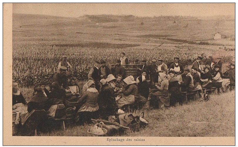 beau lot d´environ  13000 cartes postales anciennes de france ( cpa) trier