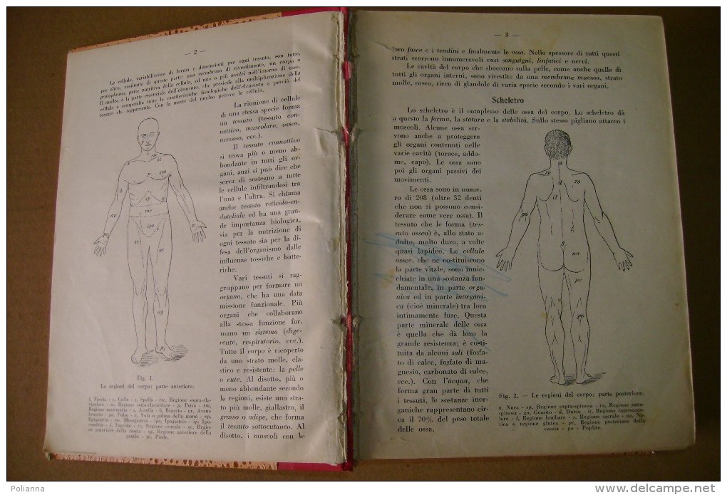 PDB/11 Scuola Samaritana-Roma SOCCORSI D´URGENZA Collegio Romano Arti Grafiche A.Chicca 1942/medicina - Geneeskunde, Biologie, Chemie