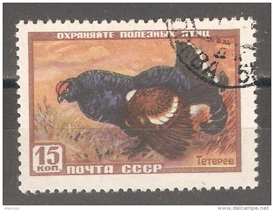 RUSSIA/USSR 1957,Game Birds,Black Grouse,Scott # 1917,VF USED - Perdiz Pardilla & Colín