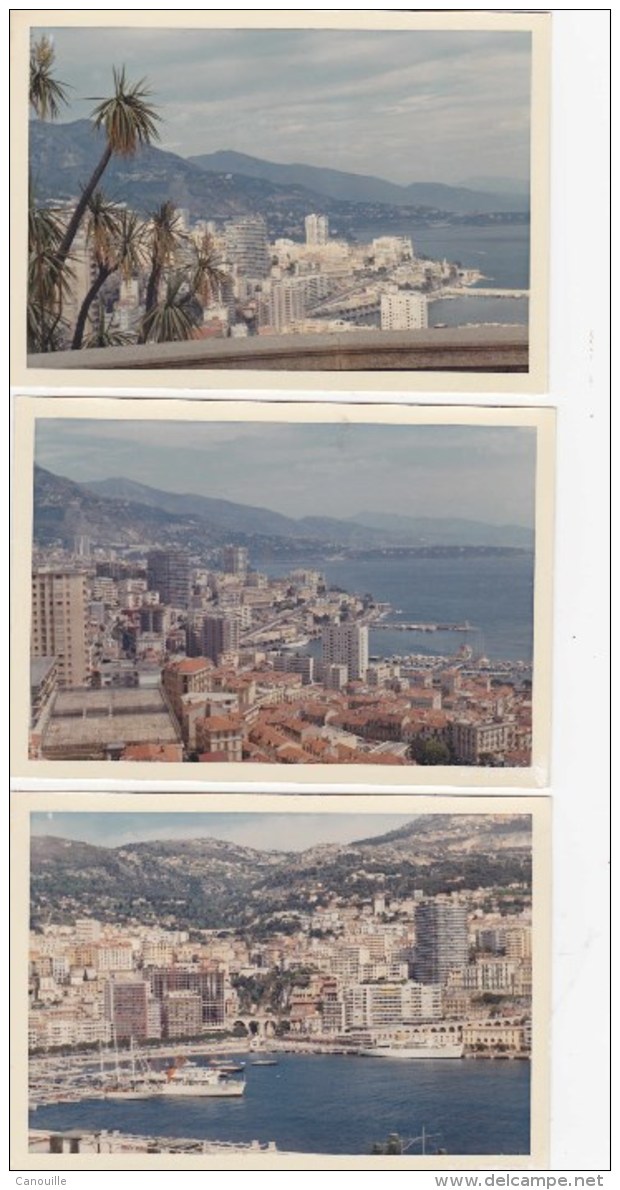 Monaco - Monte-Carlo + Jardin Exotique J - Photos Originales Des Années 60/70 ?? - Monte-Carlo