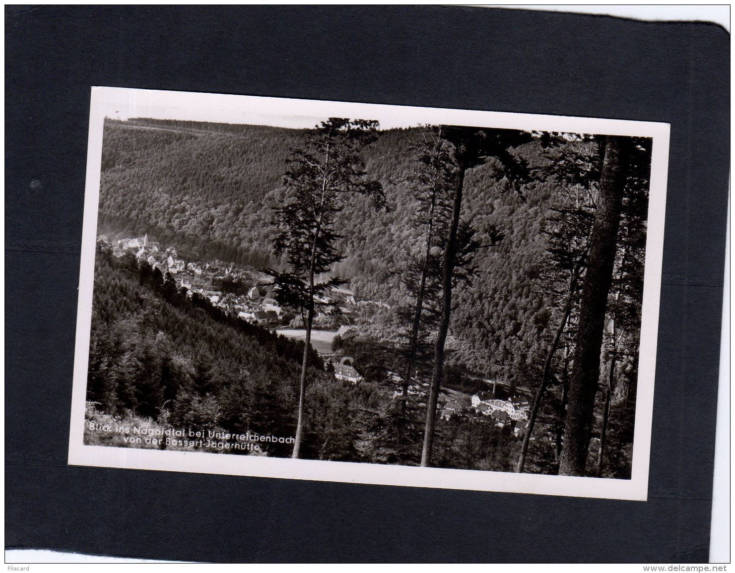 62960    Germania,   Blick Ins Nagoldtal Bei Unterreichenbach Von Der Bassert-Jagerhutte,   NV(scritta) - Nagold