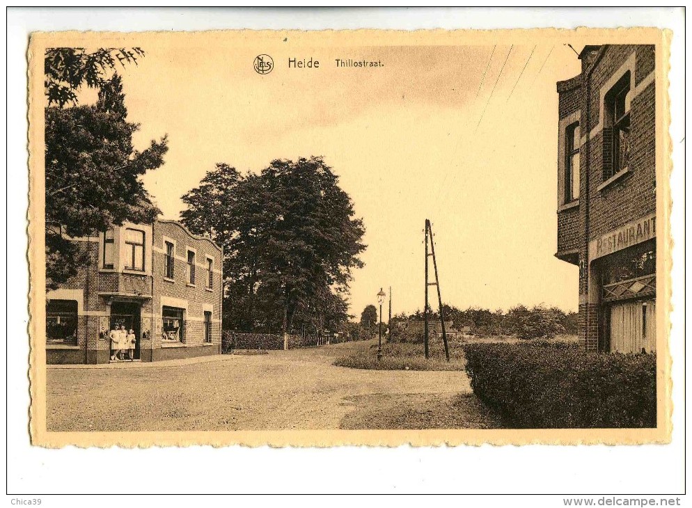 17629   -    Heide   -   Thillostraat - Kalmthout