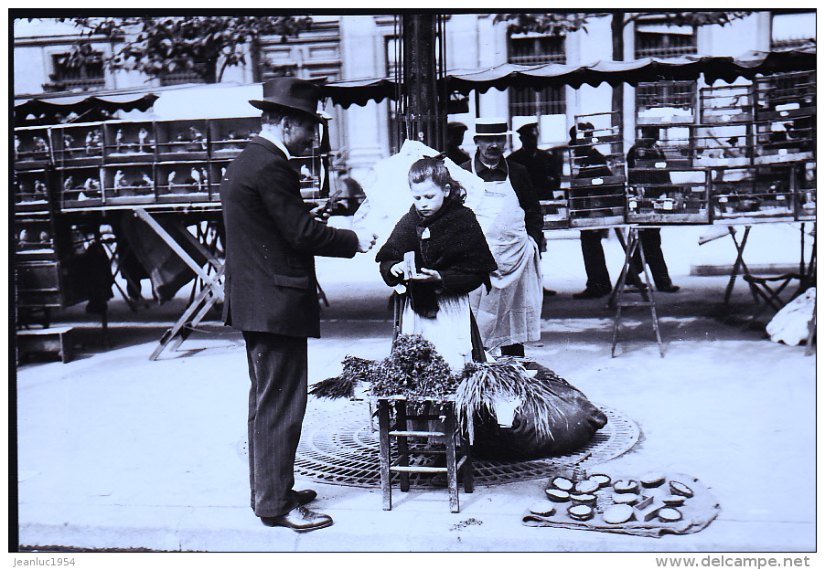 PARIS 1900 DU MOURRON POUR LES OISEAUX - Petits Métiers à Paris