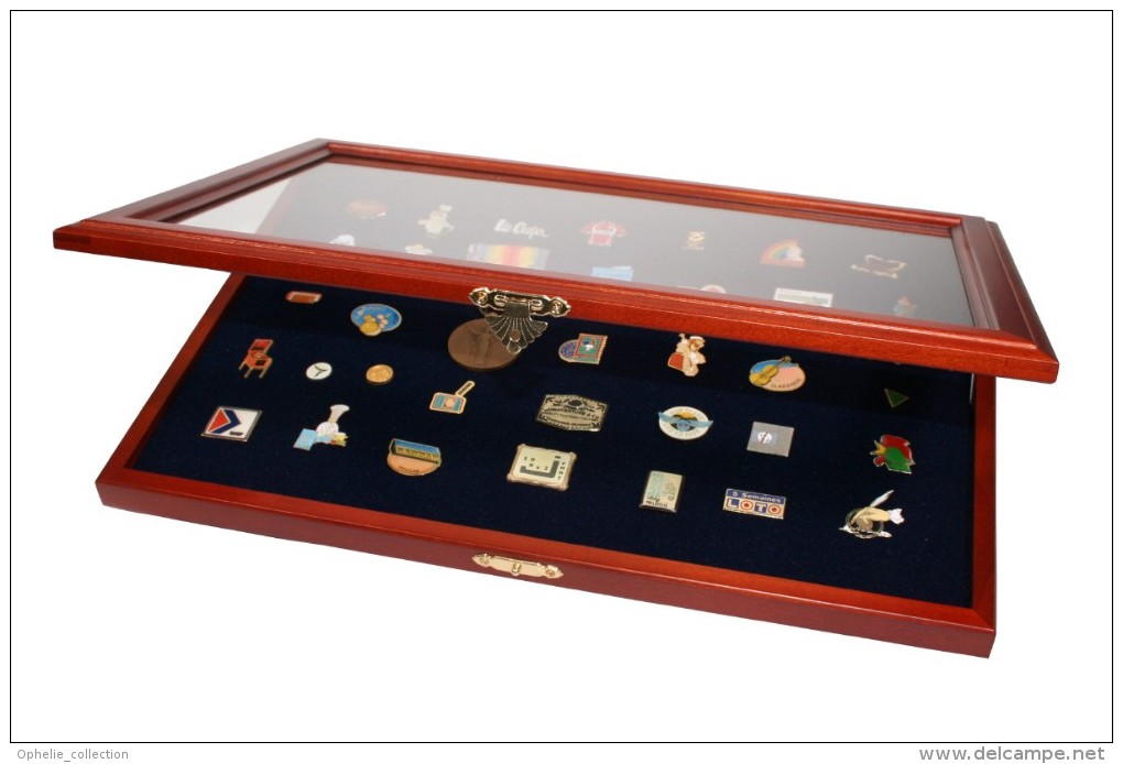 VITRINE POUR PIN'S & INSIGNES - Anstecknadeln