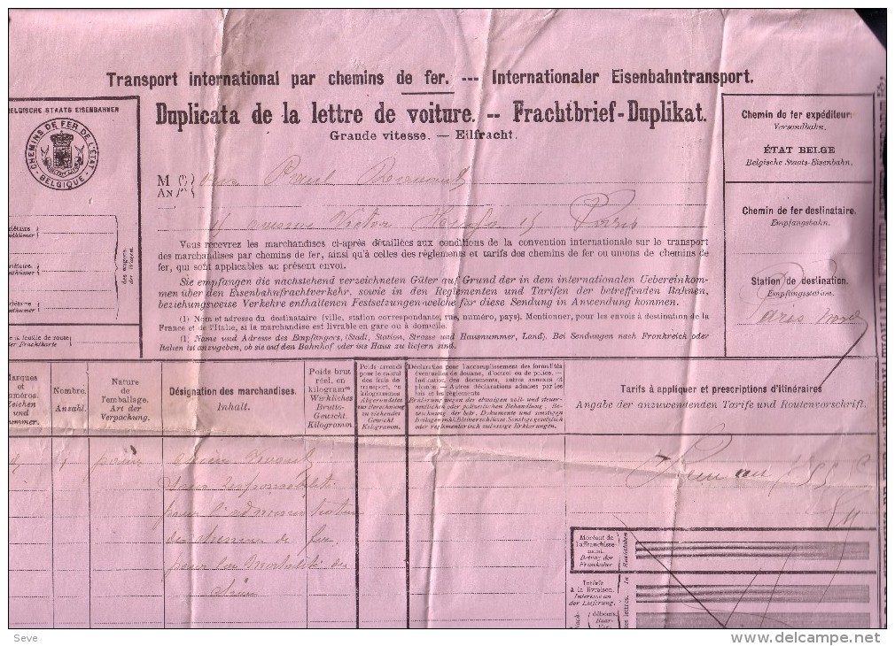 BRUXELLES PARIS Lettre De Voiture Pour 1 Chien Vivant 1900 Document Grand Format Chemin De Fer Train - Autres & Non Classés