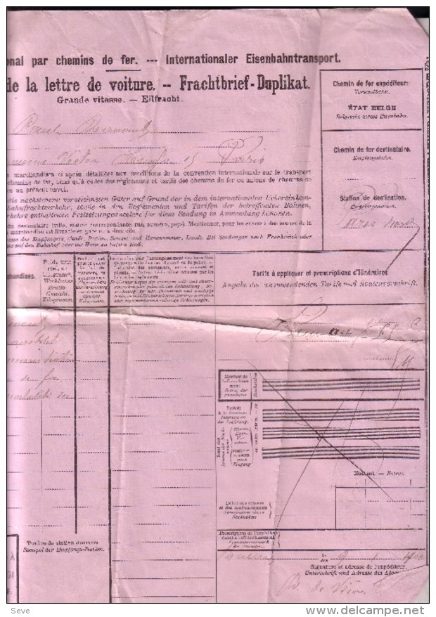 BRUXELLES PARIS Lettre De Voiture Pour 1 Chien Vivant 1900 Document Grand Format Chemin De Fer Train - Autres & Non Classés