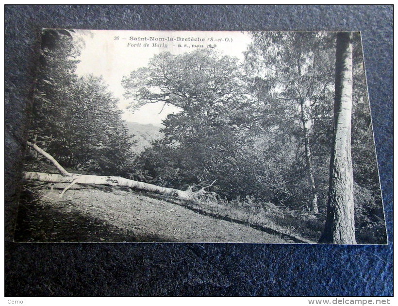 CPA - SAINT NOM LA BRETECHE (78) - Forêt De Marly - St. Nom La Breteche