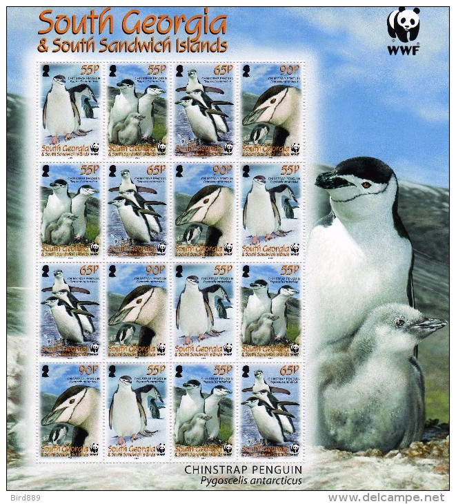 2008 South Georgia & South Sandwich Islands Chinstrap Penguin Bird Chick WWF Full Sheet Of 16 MNH - Géorgie Du Sud