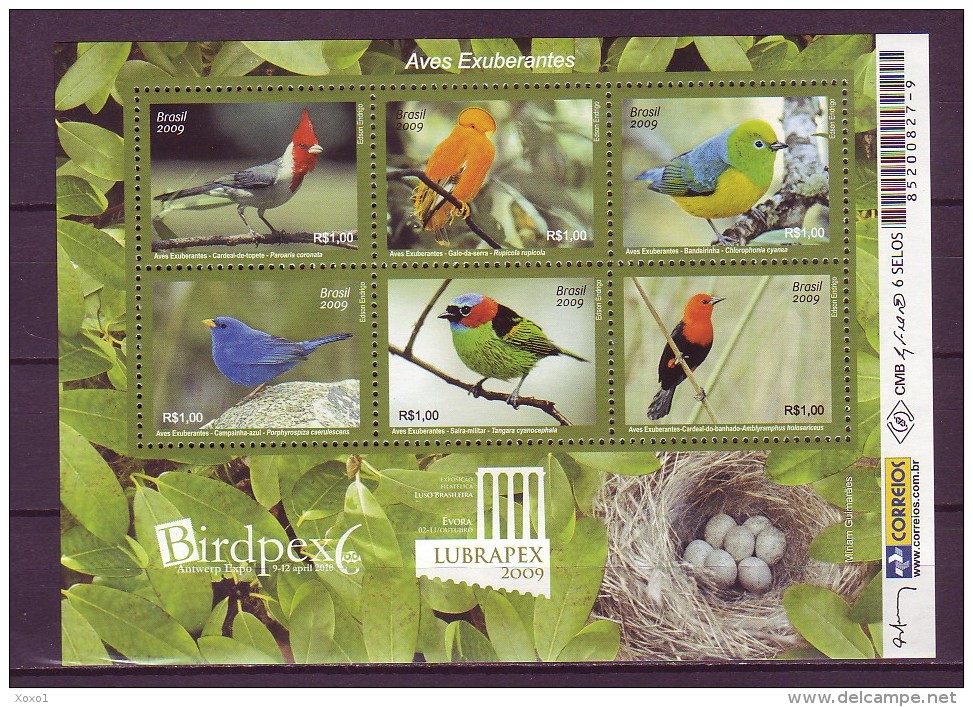 Brazil 2009 Birds 1bl MNH** - Unused Stamps